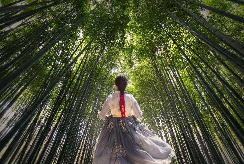 Juknokwon Bamboo Forest