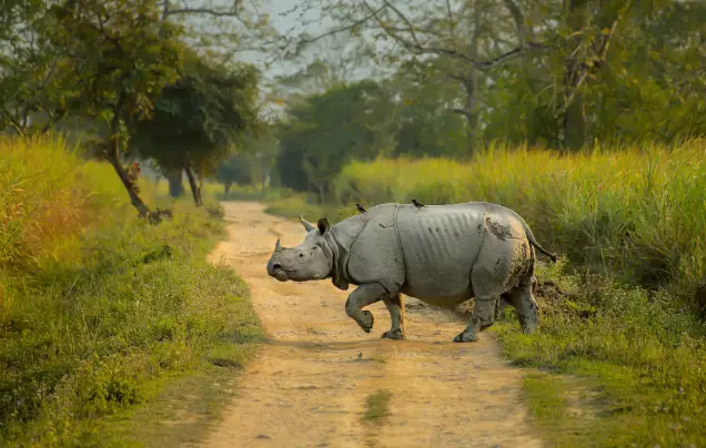 Day 6: Travel to Chitwan National Park