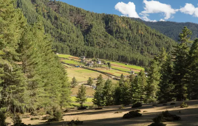 Day 12: Into the Valley of Gangtey