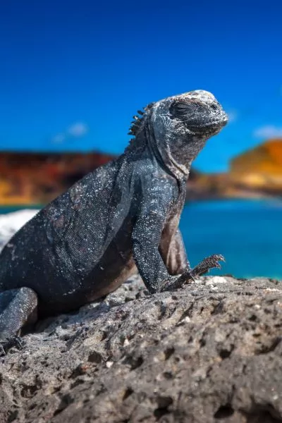 Natural Wonders of Ecuador & Galapagos