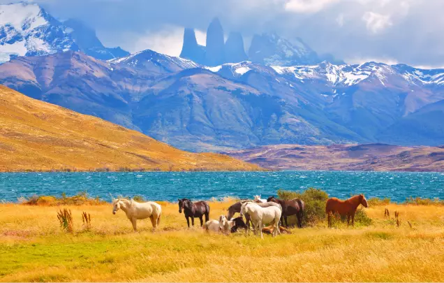 Day 10: Torres del Paine