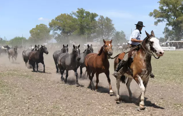 Day 13: El Calafate (A Day on a Gaucho Estancia)