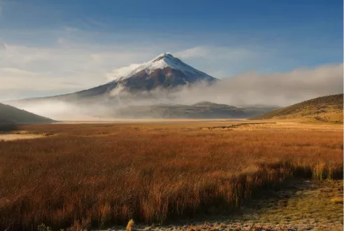 Natural Wonders of Ecuador & Galapagos