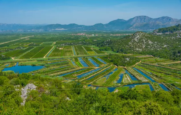 Day 12:  Neretva Valley