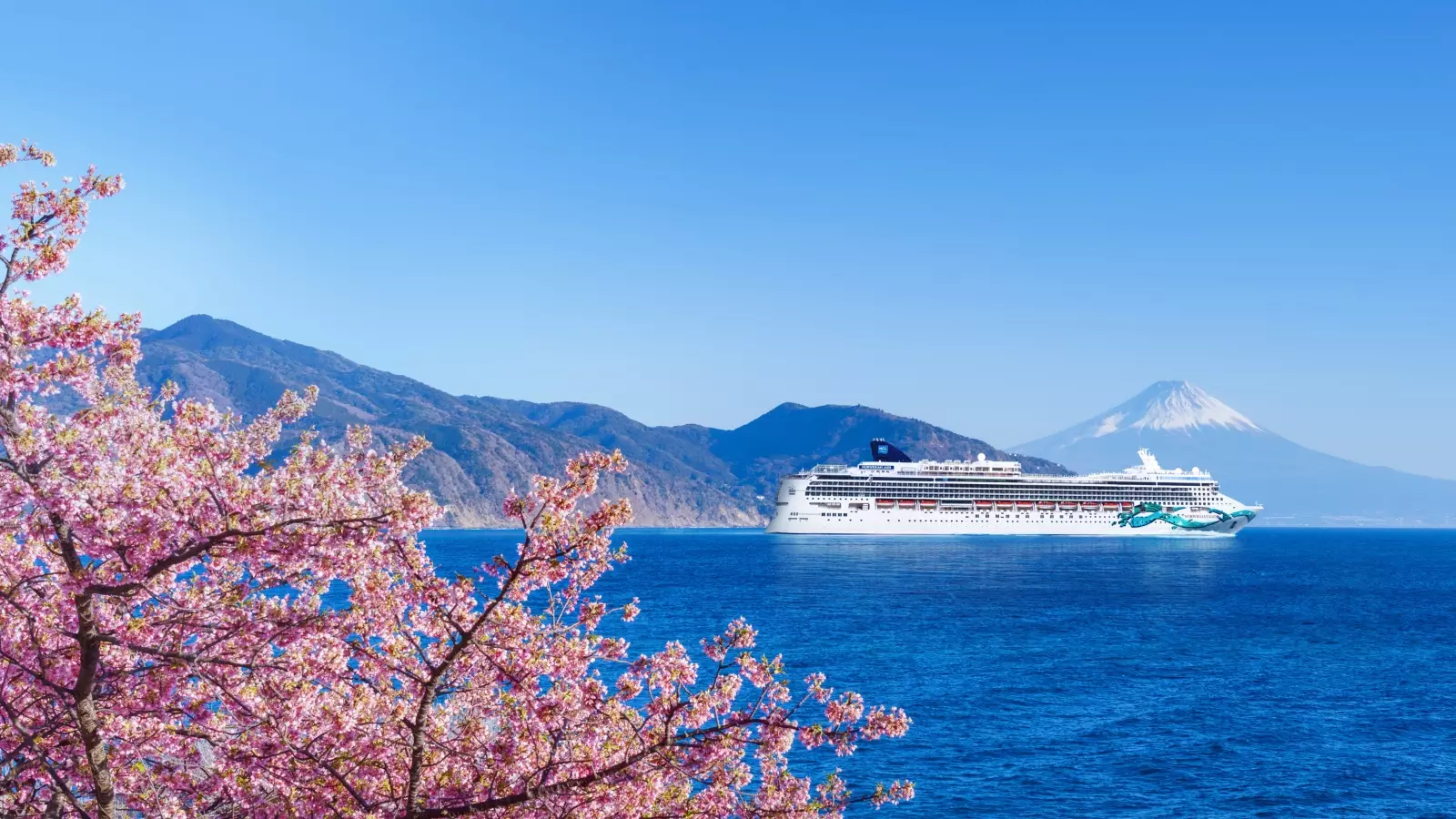 Cruise Collective Member Offer