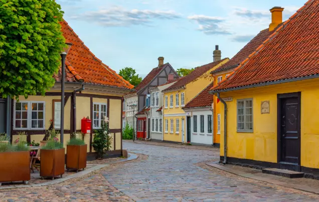Aarhus & Odense