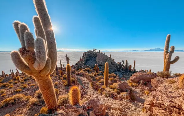 Day 12: Uyuni Salt Flats