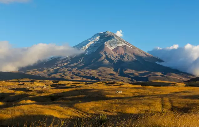 Day 6: Avenue of Volcanoes & Cotopaxi National Park