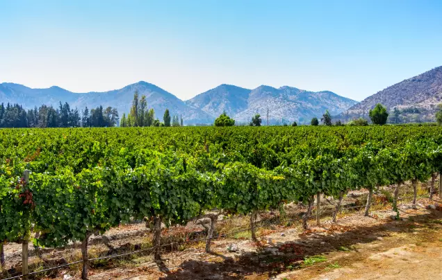 Day 12: Maipo Valley at Leisure