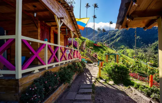 Day 4: Valle Del Cocora