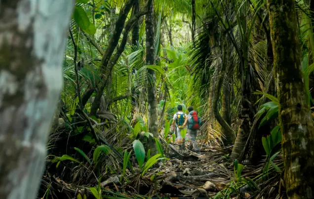 Day 13: Corcovado National Park