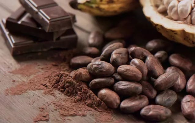 Day 8: Cacao Experience