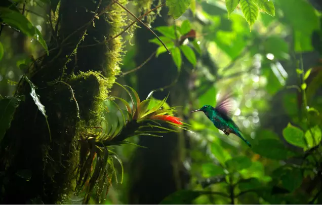Day 13: Arenal National Park