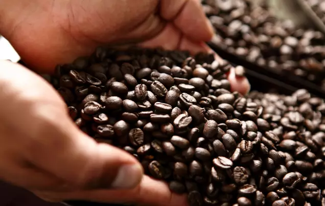 Day 5: Coffee Experience
