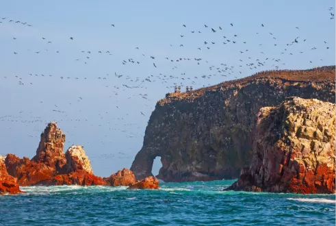 Paracas Short Stay