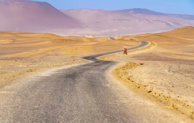 Day 3: Depart Paracas
