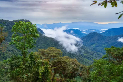 Ecuador Cloud Forest Short Stay