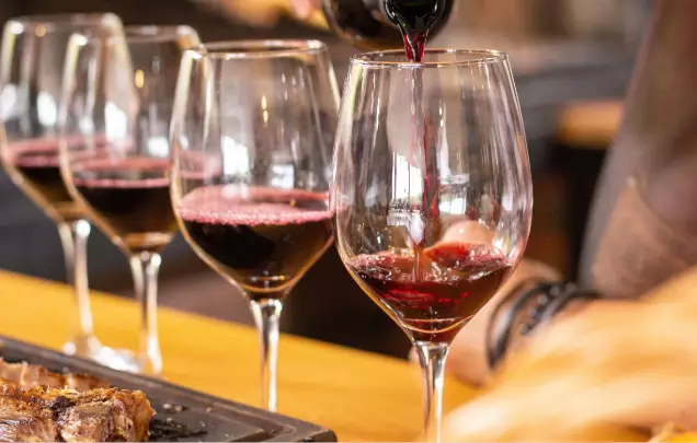 Day 4: Uruguaya Wine Experience