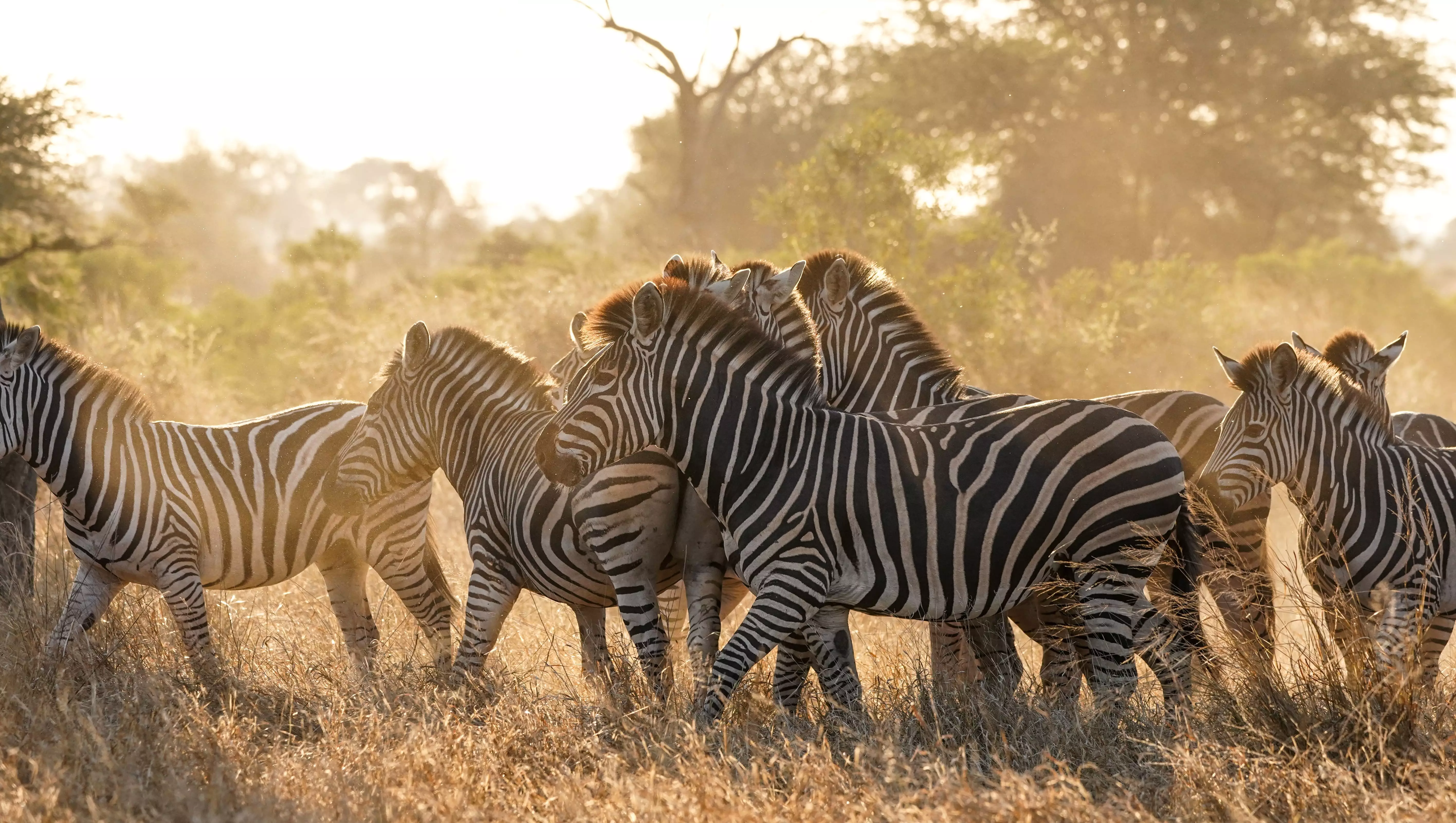 Day 10: Arrive in Kruger