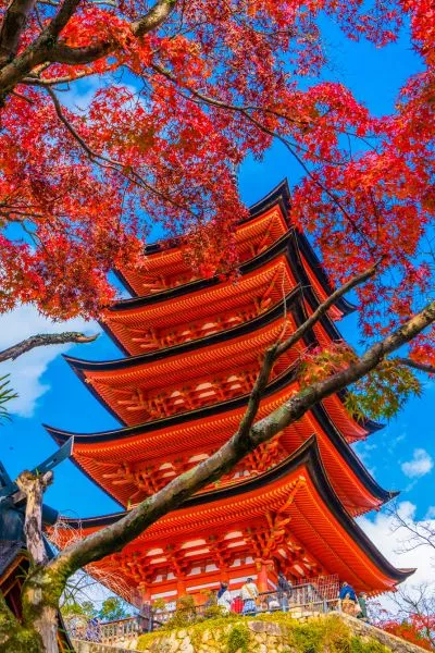Save up to £700pp on a wide selection of tours