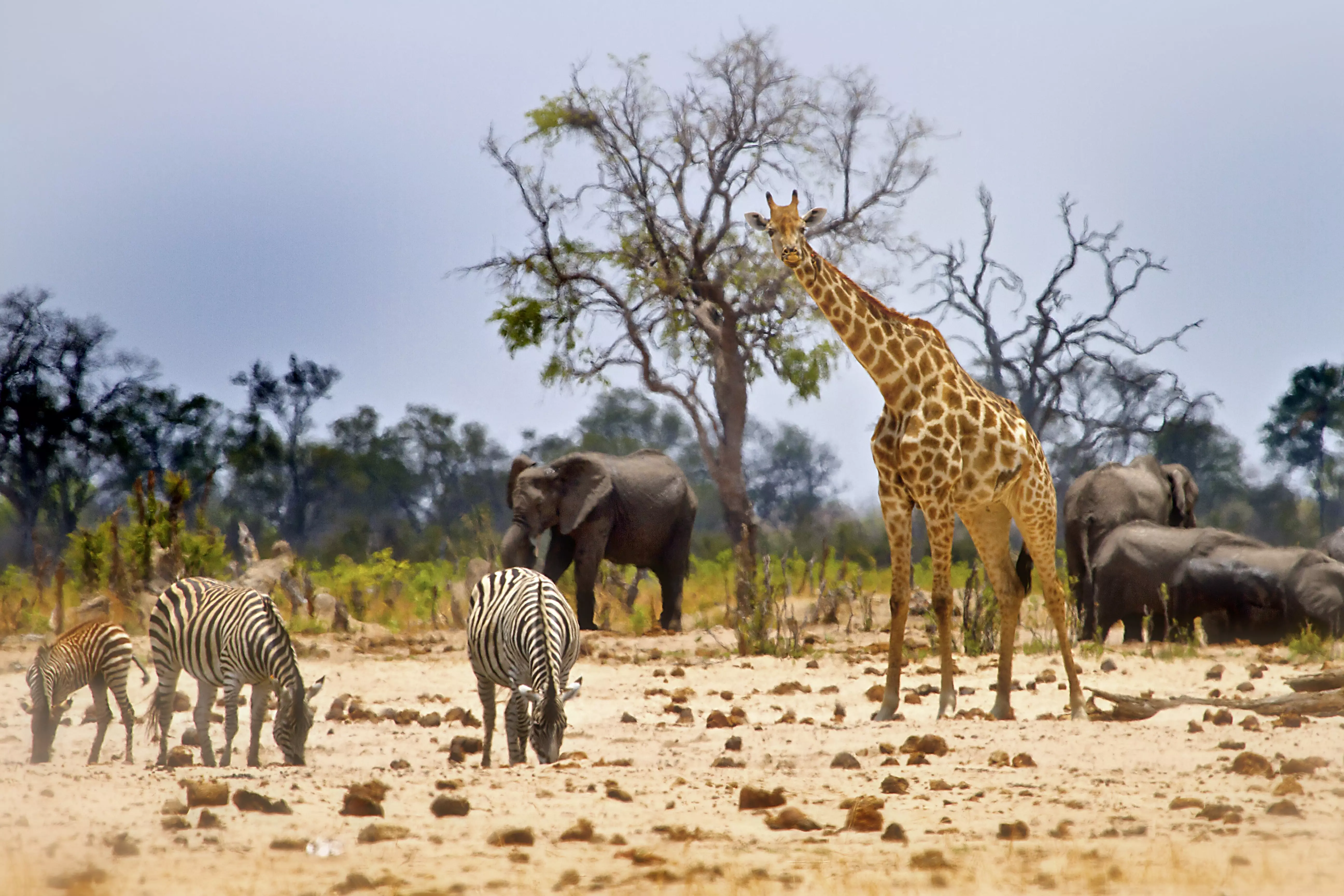 Day 3: Kruger National Park