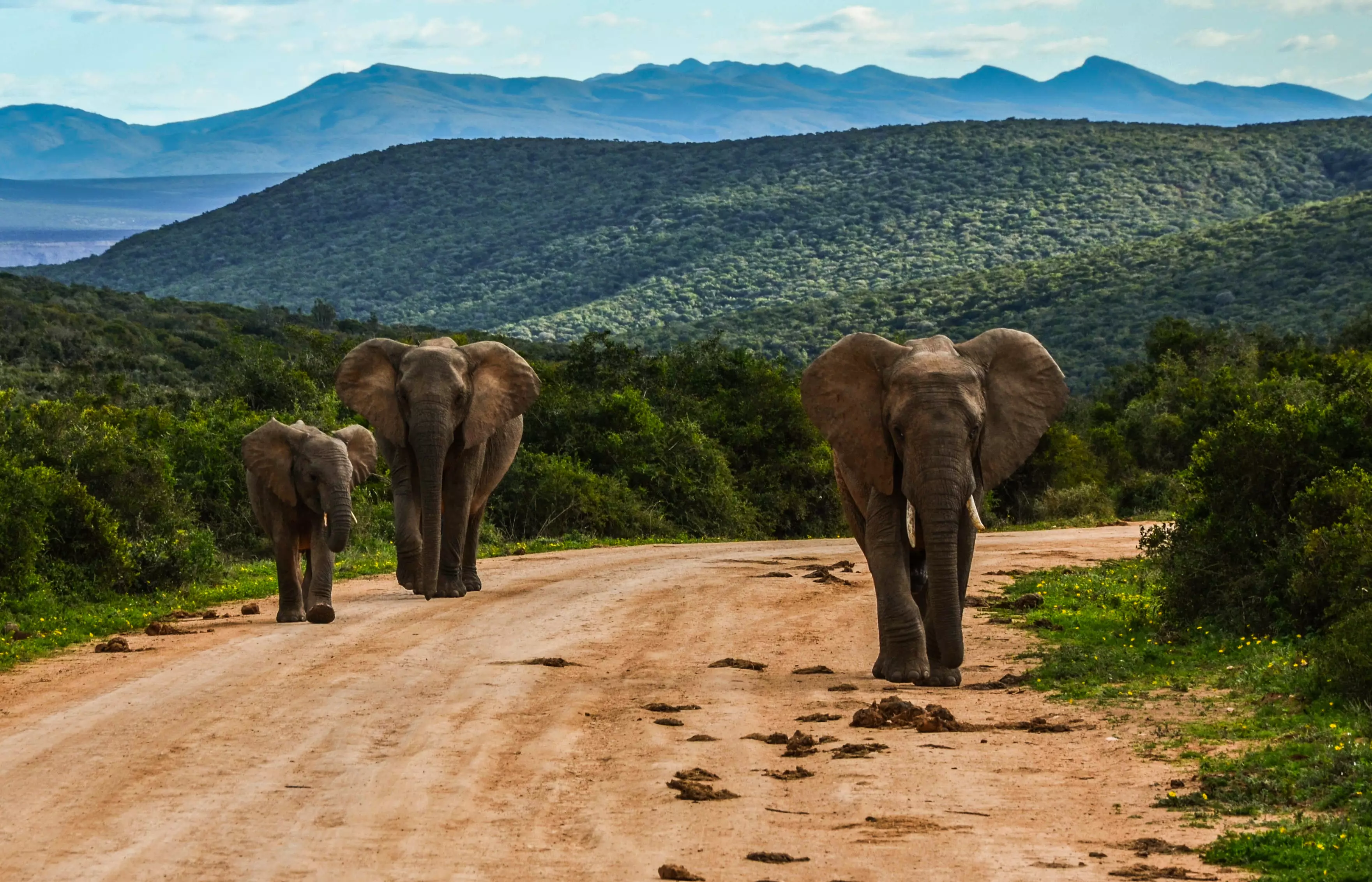 Day 2: Kruger National Park