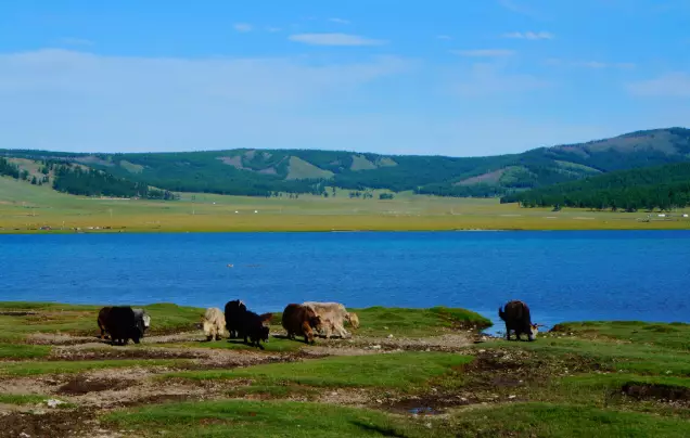 Day 13: Lake Khovsgol