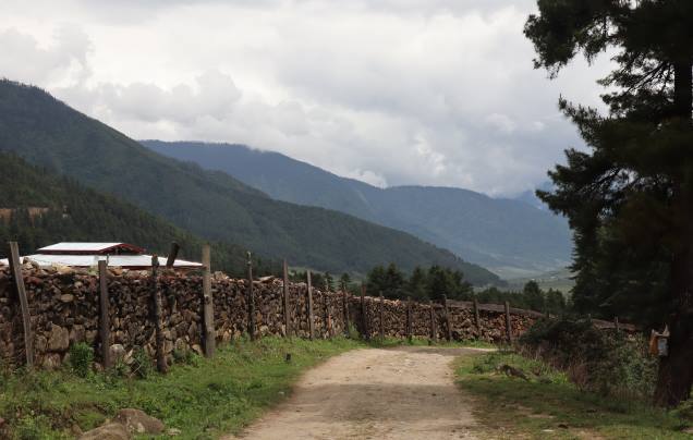 Day 18: Walking in Gangtey