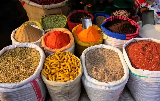 Day 9: Delhi