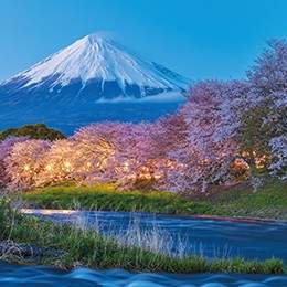 Discover Japan