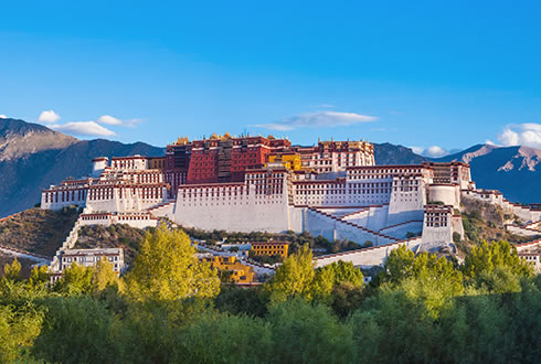 China & Tibet Discovery 