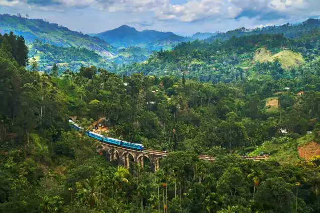 Day 8: Nuwara Eliya