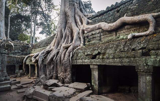 DAY 19 TONLE SAP LAKE
