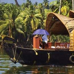 Kerala and the Southern Highlights