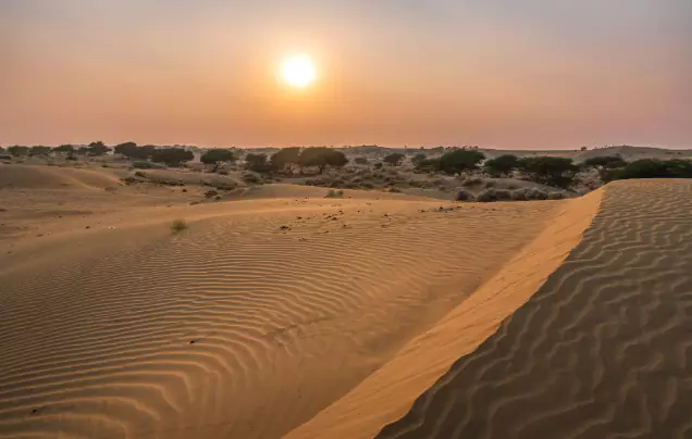 Day 7: Thar Desert Safari