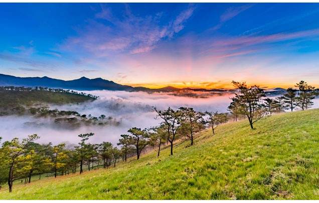 Day 7 The City of Flowers