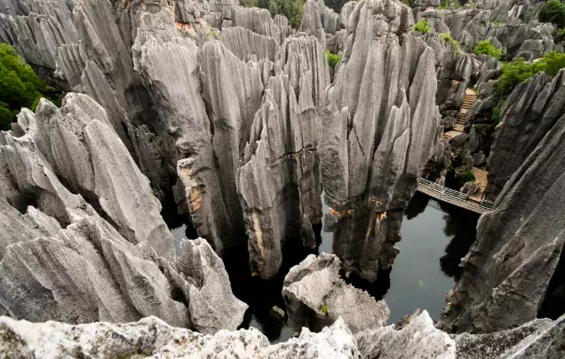 Day 16: Stone Forest