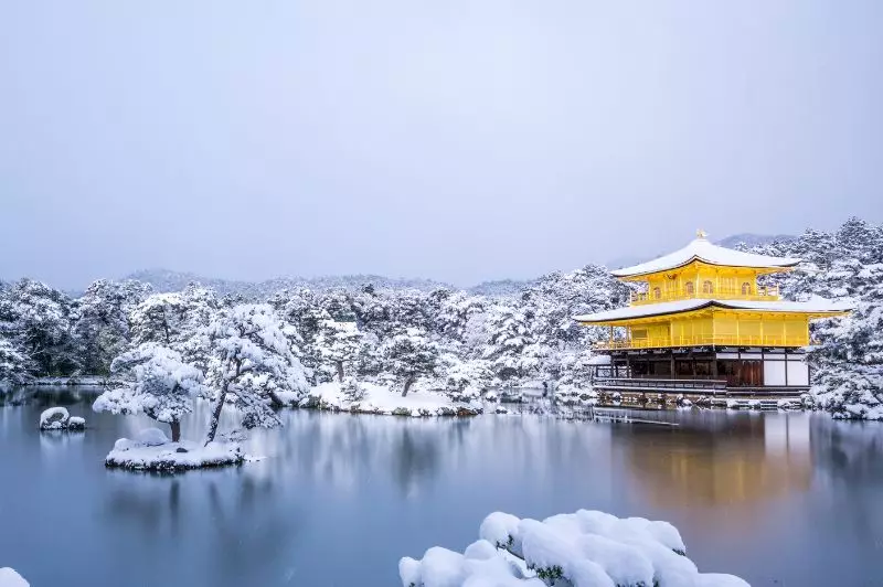 Christmas Collection Offer