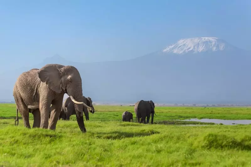 New Journeys For 2026 Offer