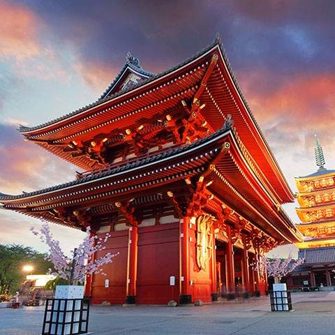 Day 3: Explore Tokyo