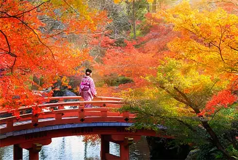 Autumn Leaves
