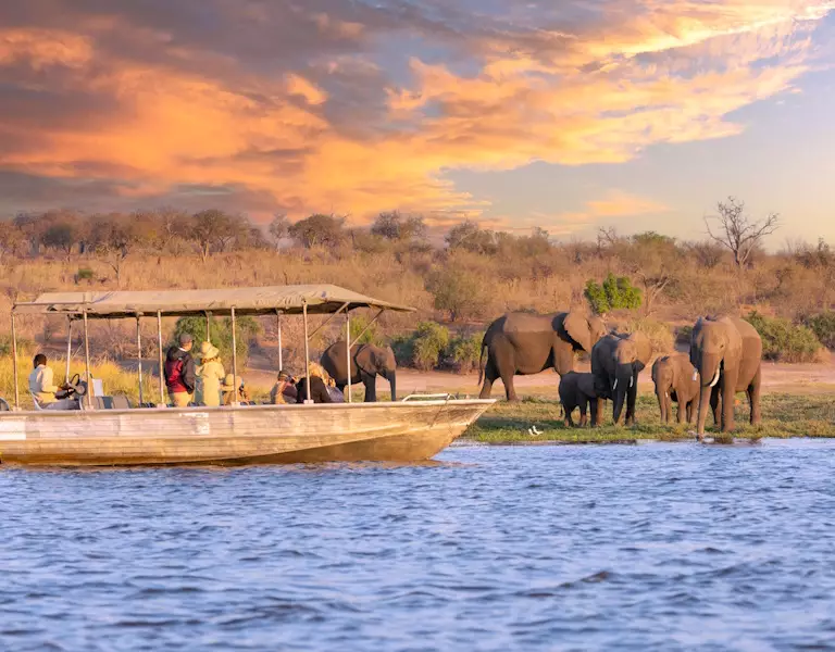 Chobe River Cruise