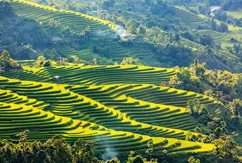 Vietnam & Cambodia Discovery