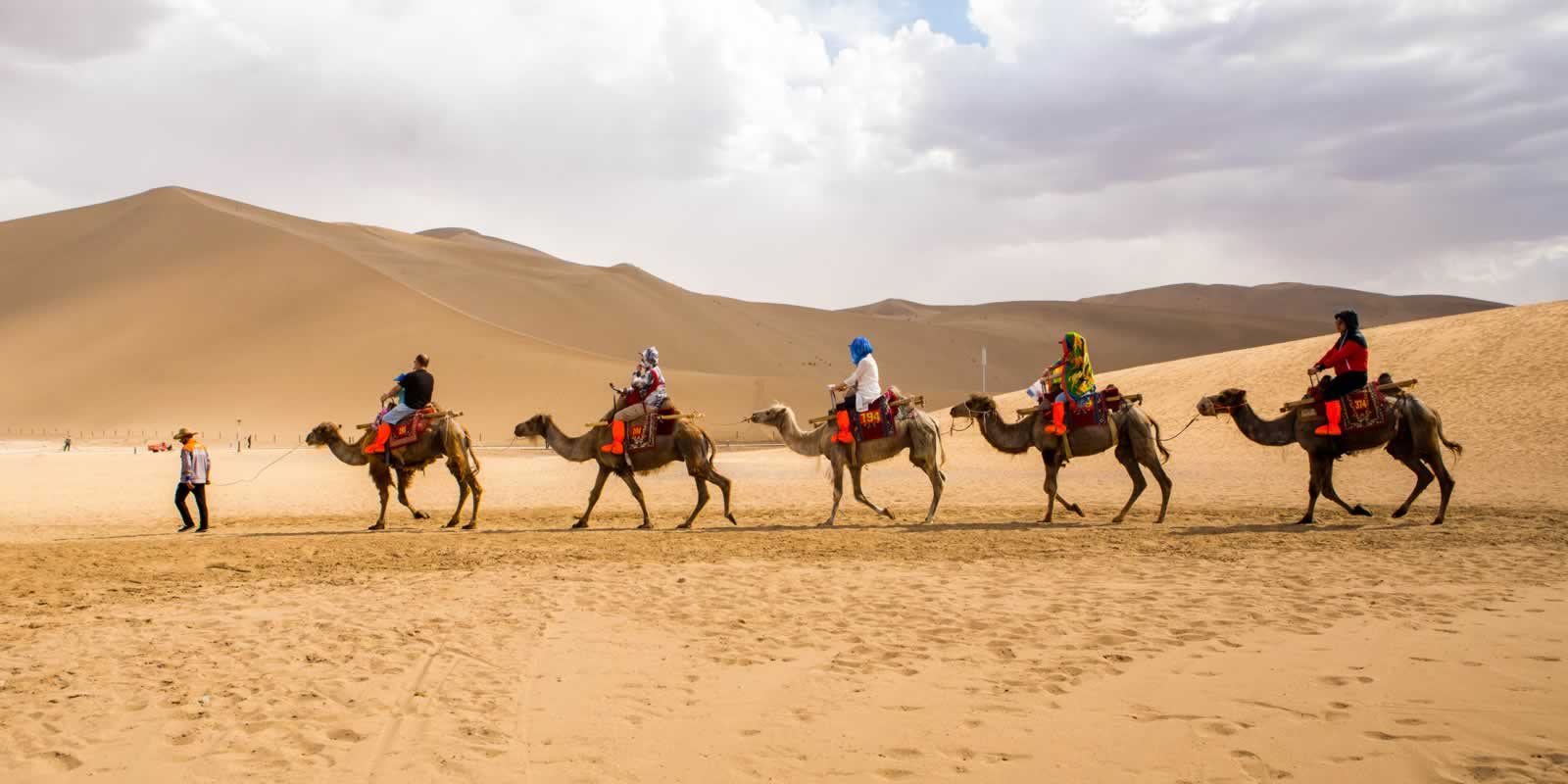 Silk Road Holidays & Tours
