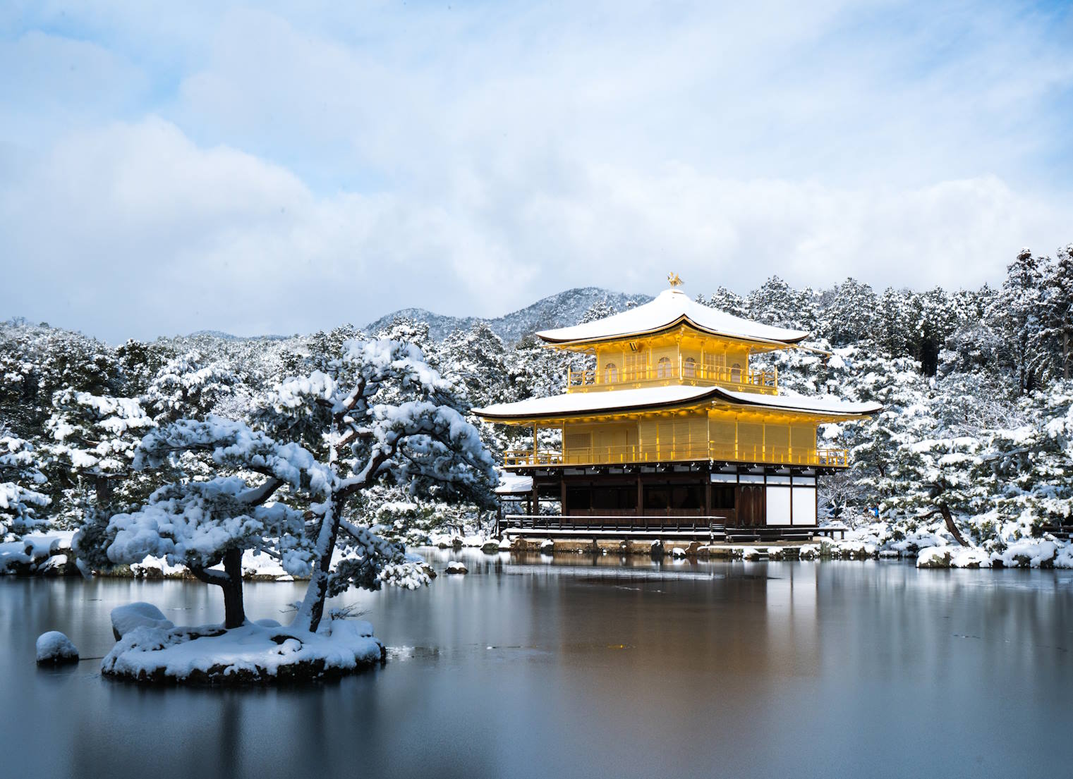 Special Festive Experiences on Christmas in Japan